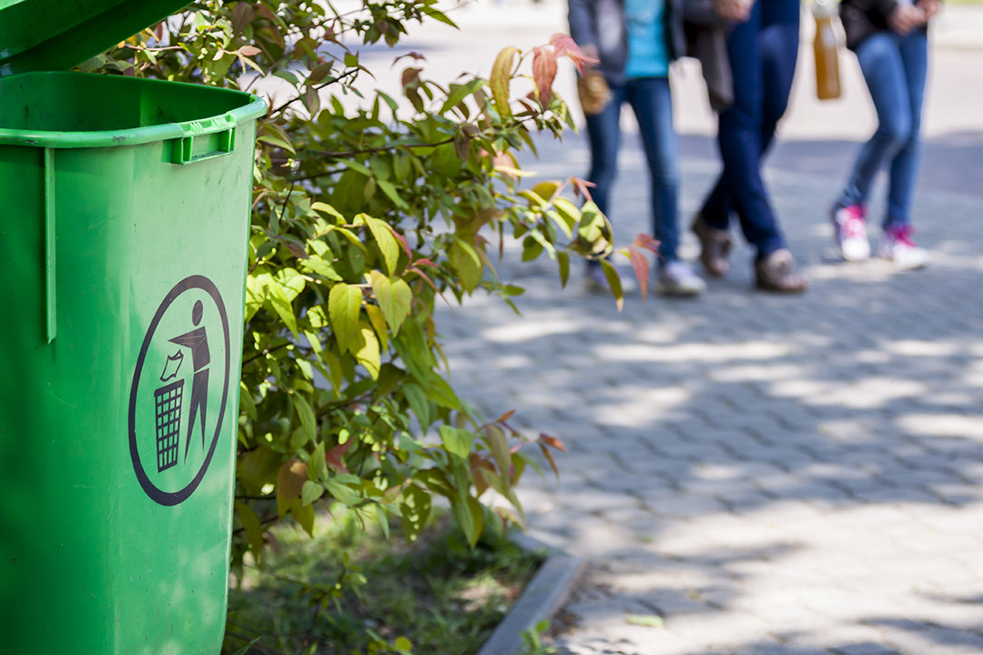 03 Καθαριότητα